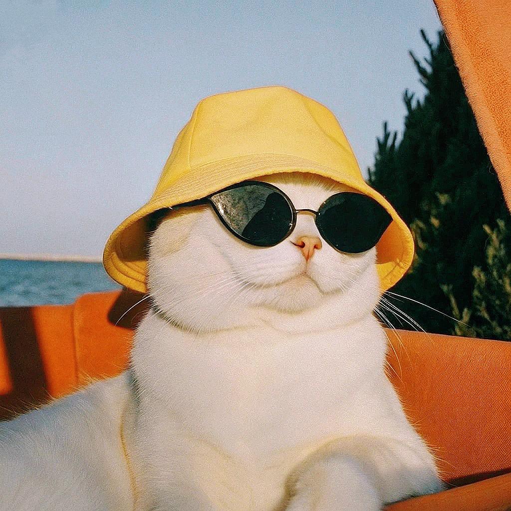 向泡泡🫧🍃🍄