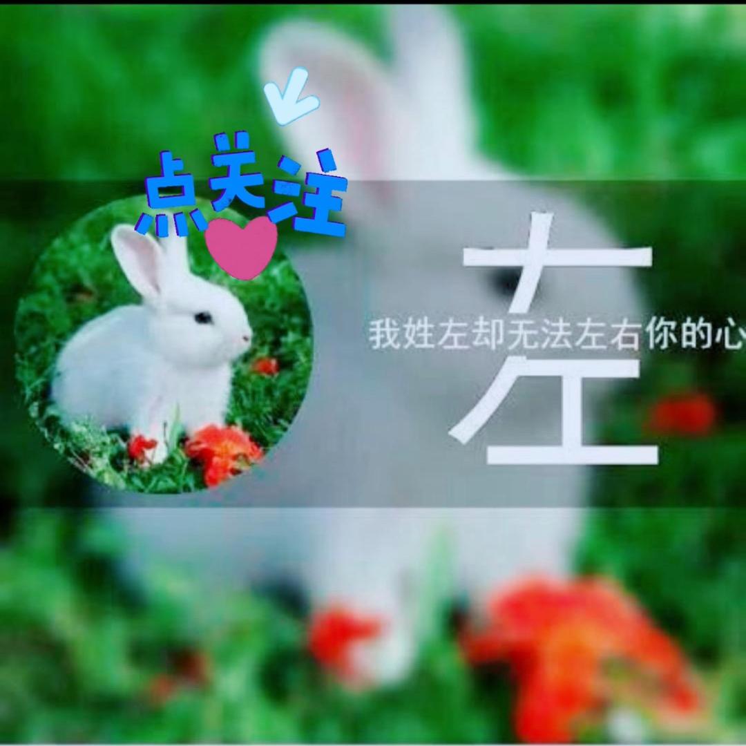 🐰淡淡忧伤🐰
