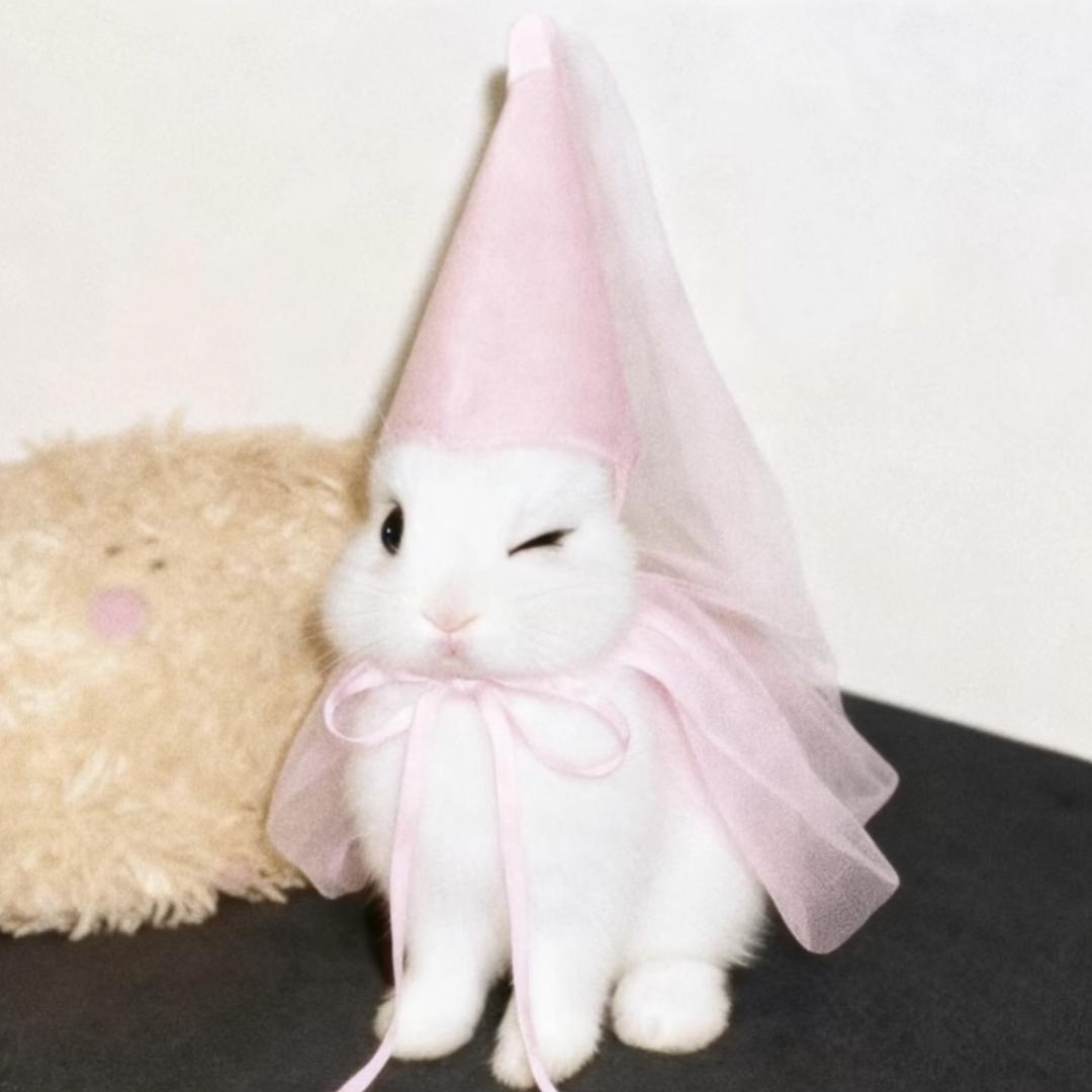 魔力魚