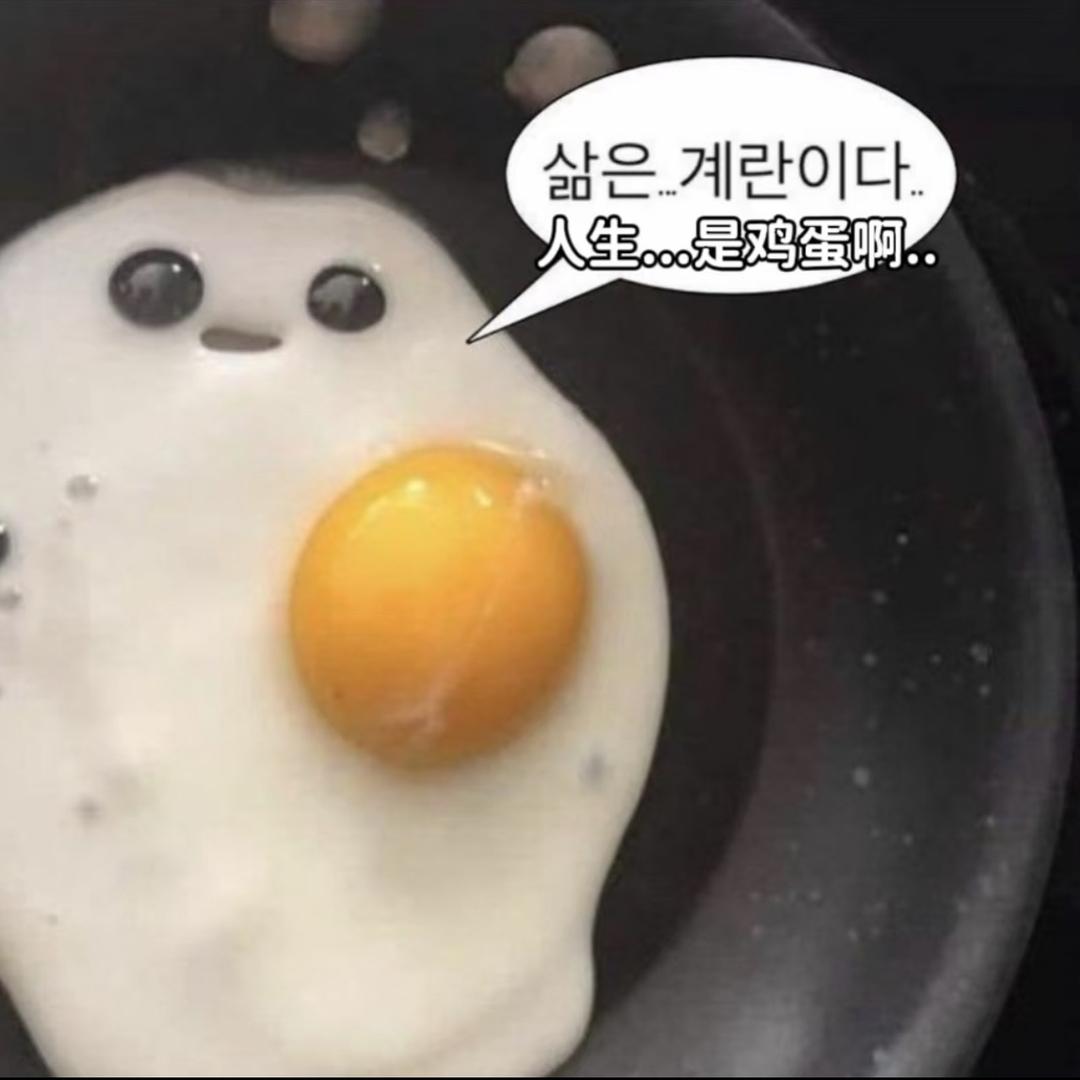 不煎蛋🍳