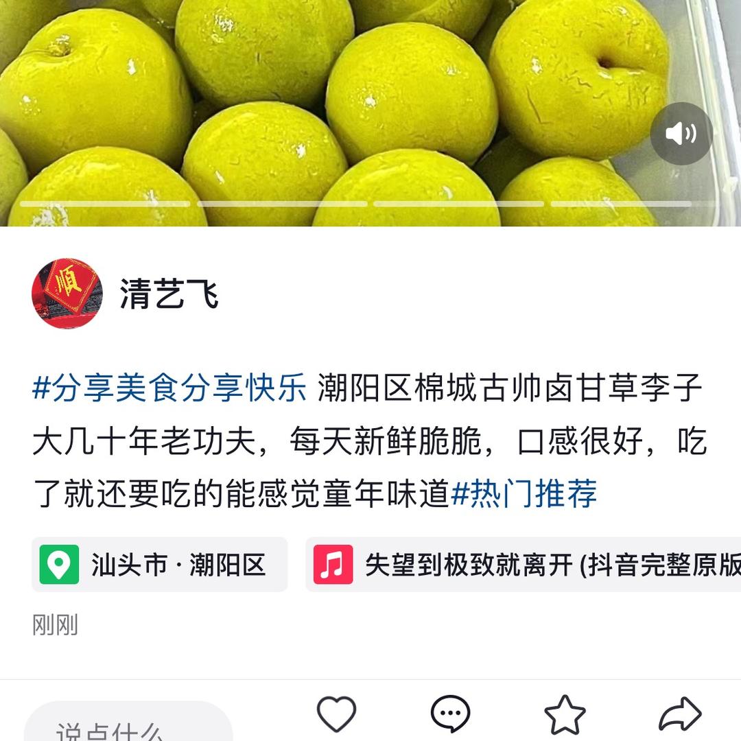 潮阳网红甘草李子