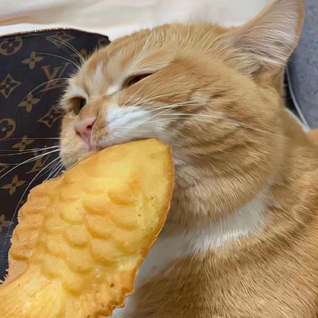 不是蛋挞🧸