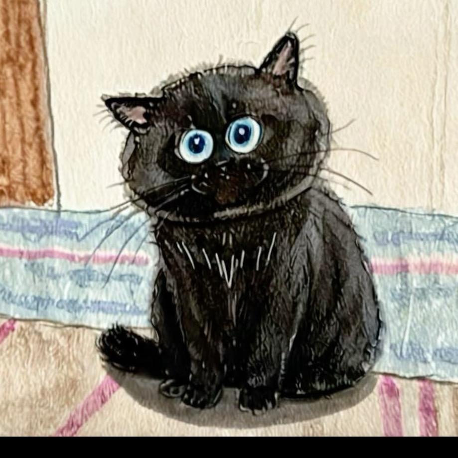 小猫日记✍🏻