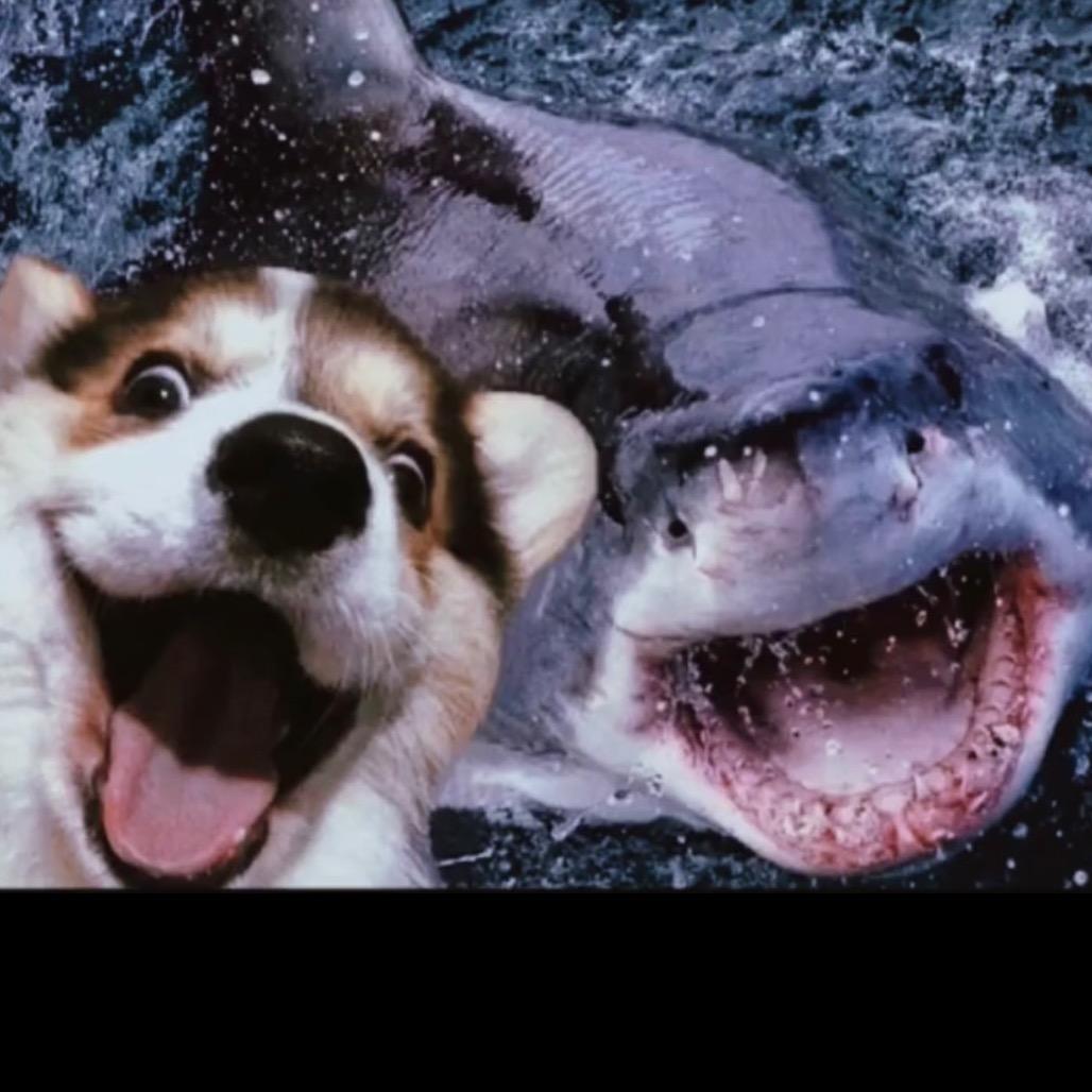 🌈 🌈 ZzZz-gao 🌈 🌈