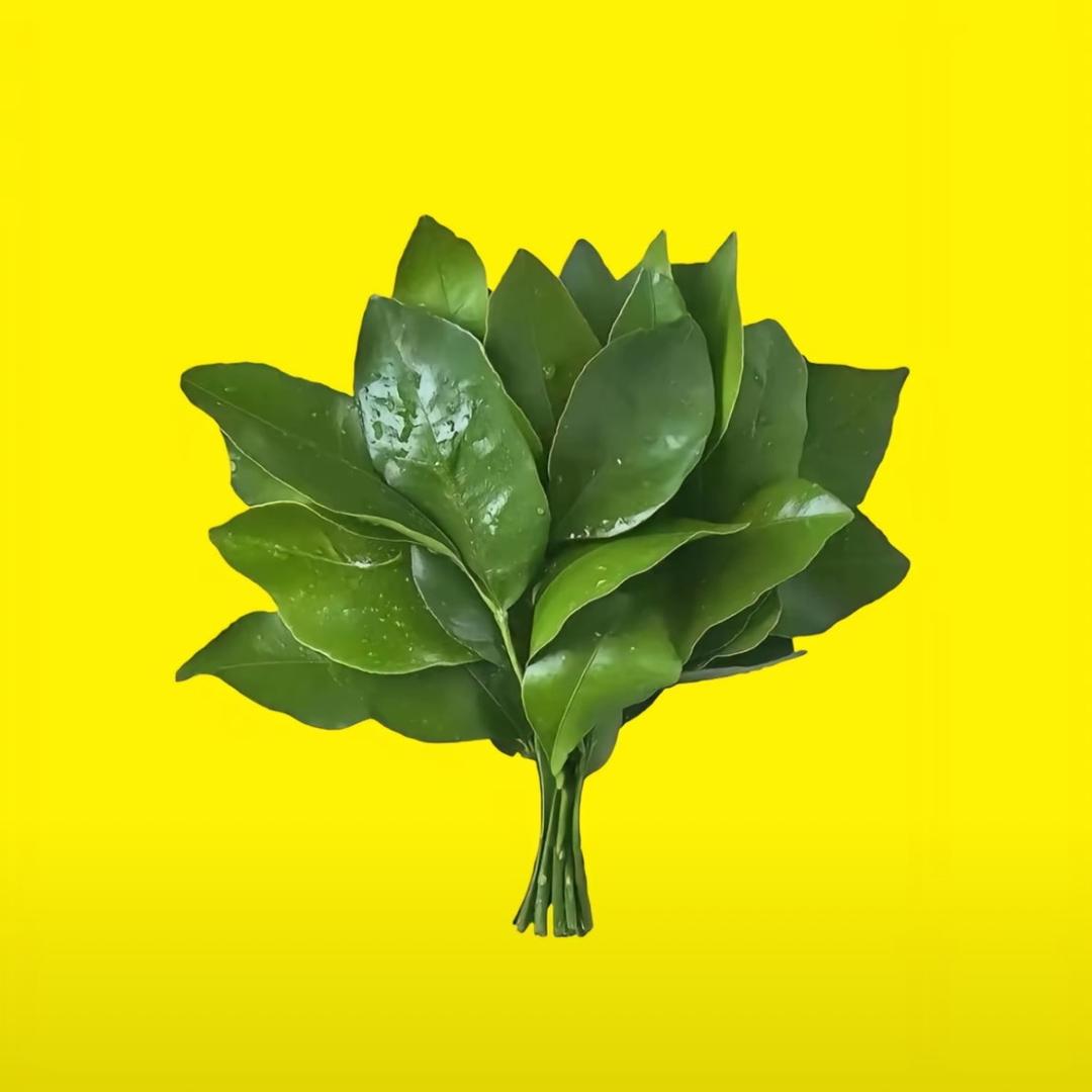宅