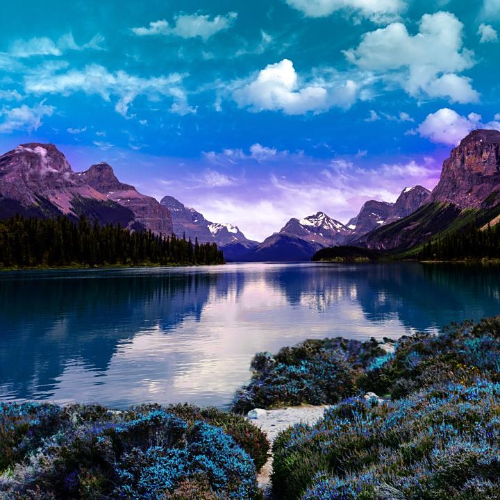 琼海新颜社商贸有限公司