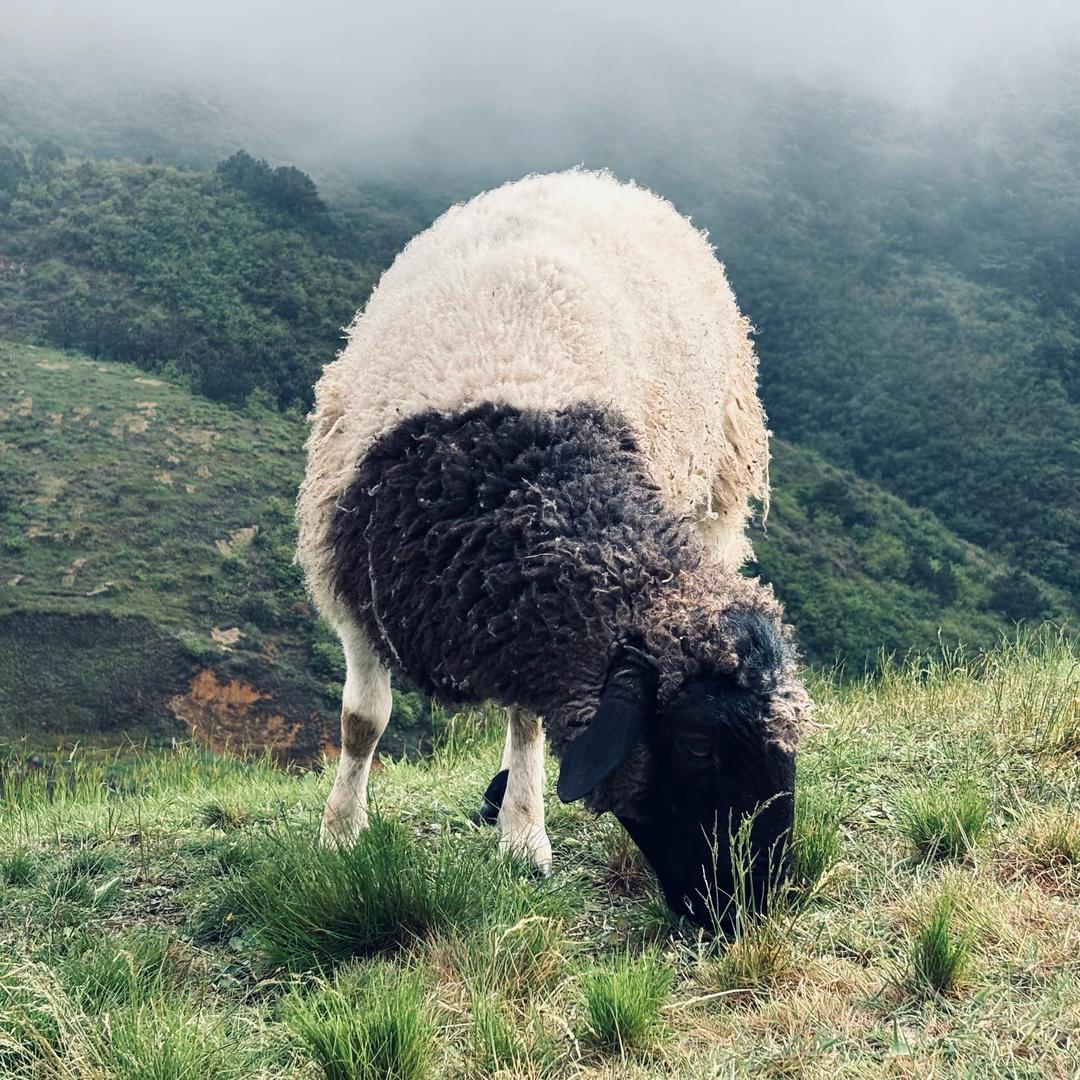 这样孤单一辈子