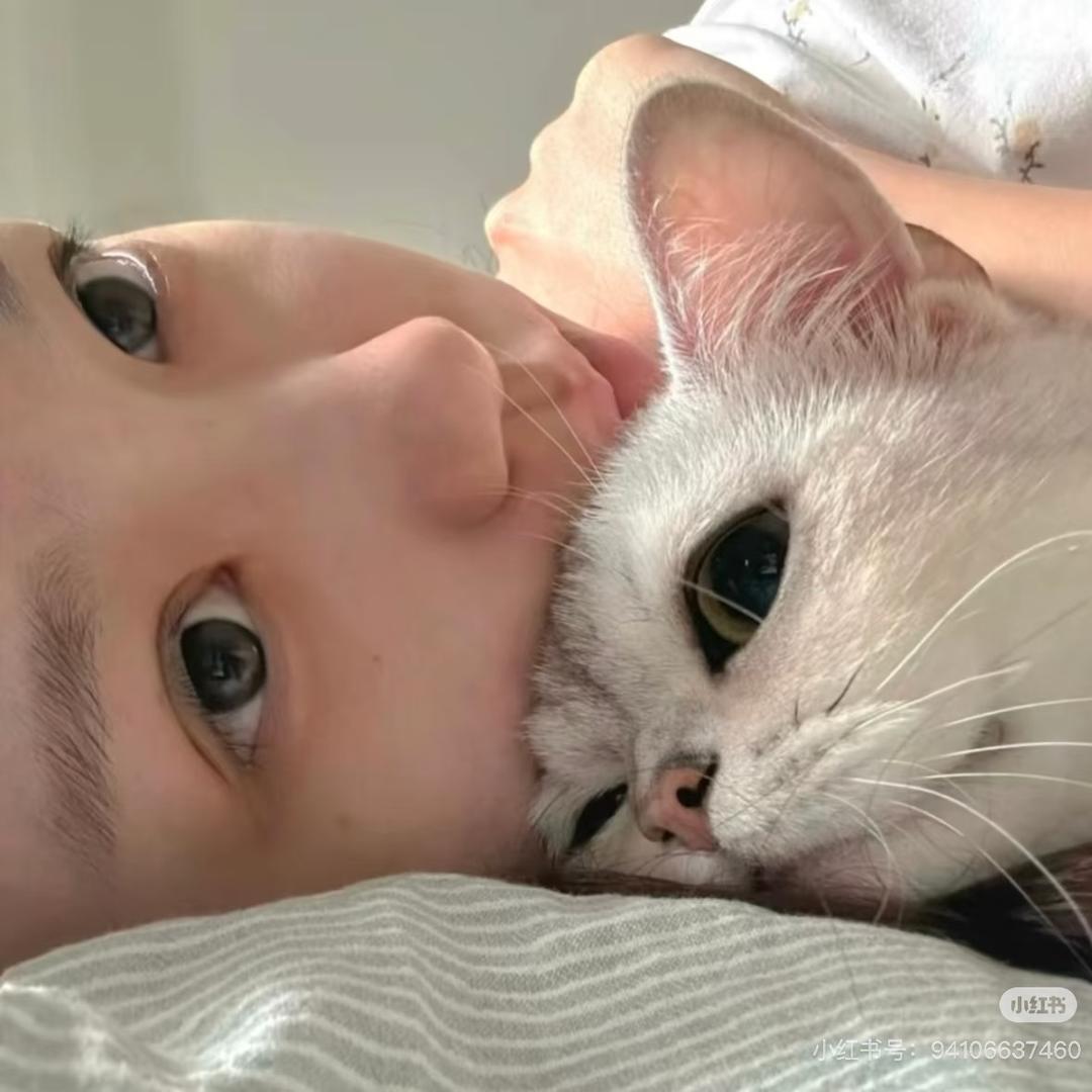 小羊肖恩🐑