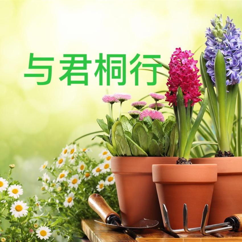 桐君园艺