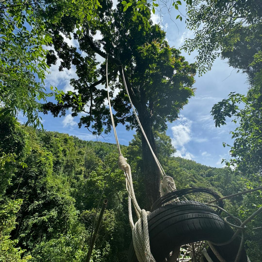 基诺山溪谷雨林徒步