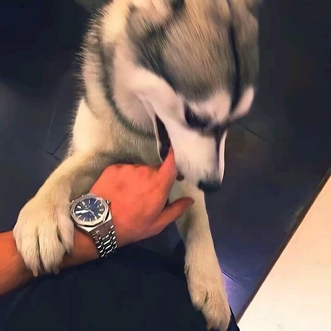 ㅤㅤㅤ￴￴ ￴ ￴ ￴ ￴ ￴ ￴￴ ￴