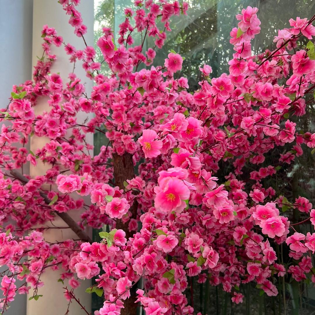 ღ᭄初ꦿ💞遇꧔ꦿ້໌ᮨ