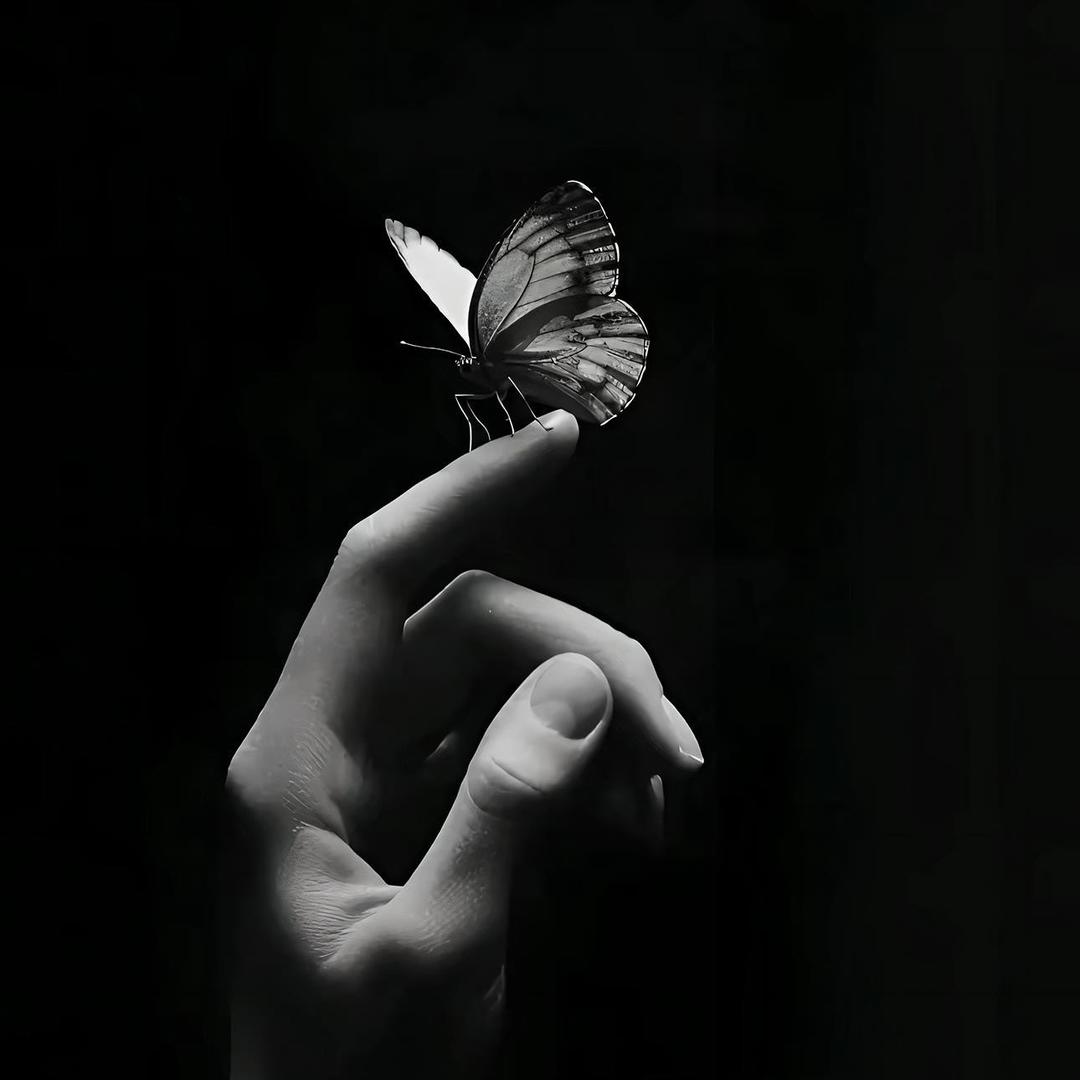 Z先森