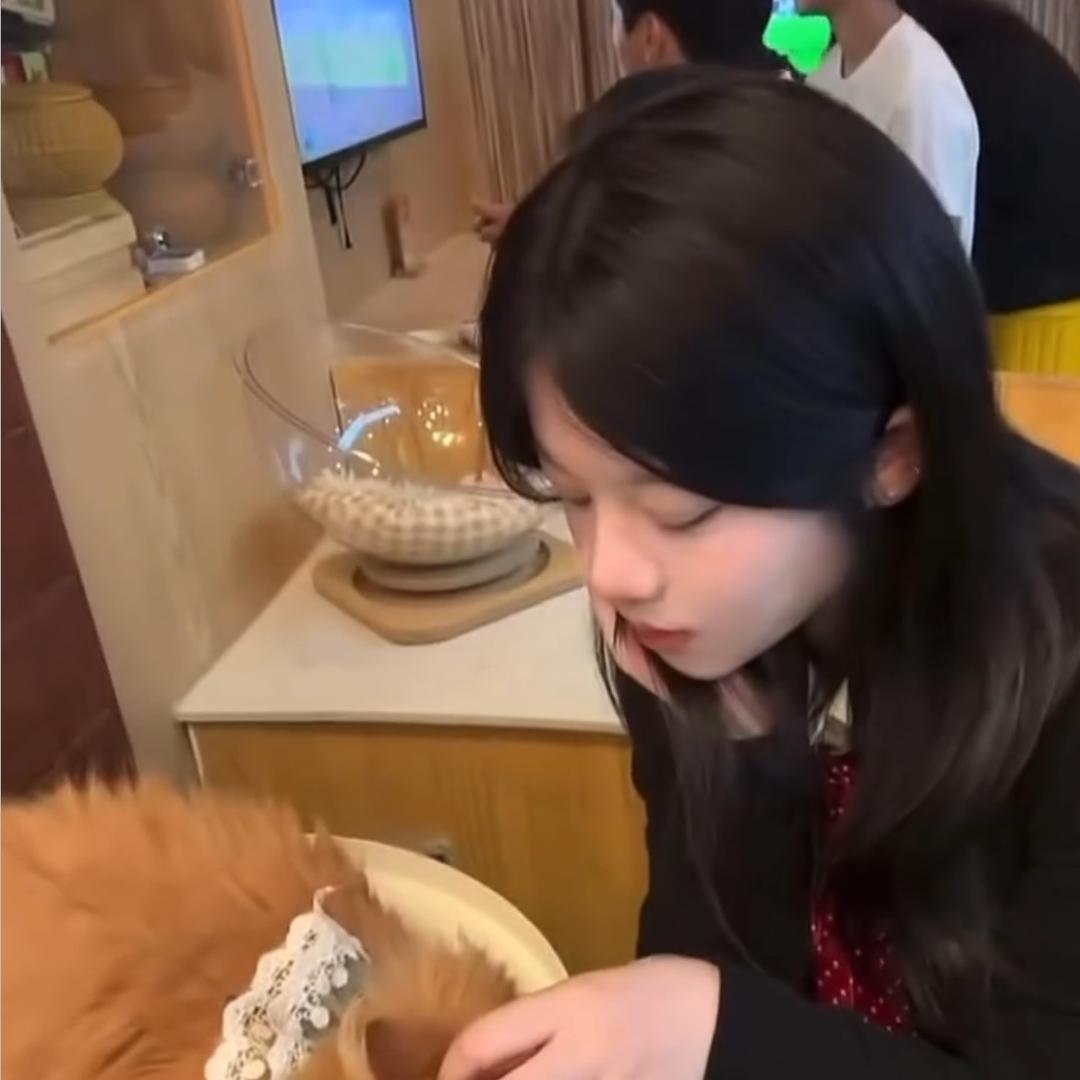 督促