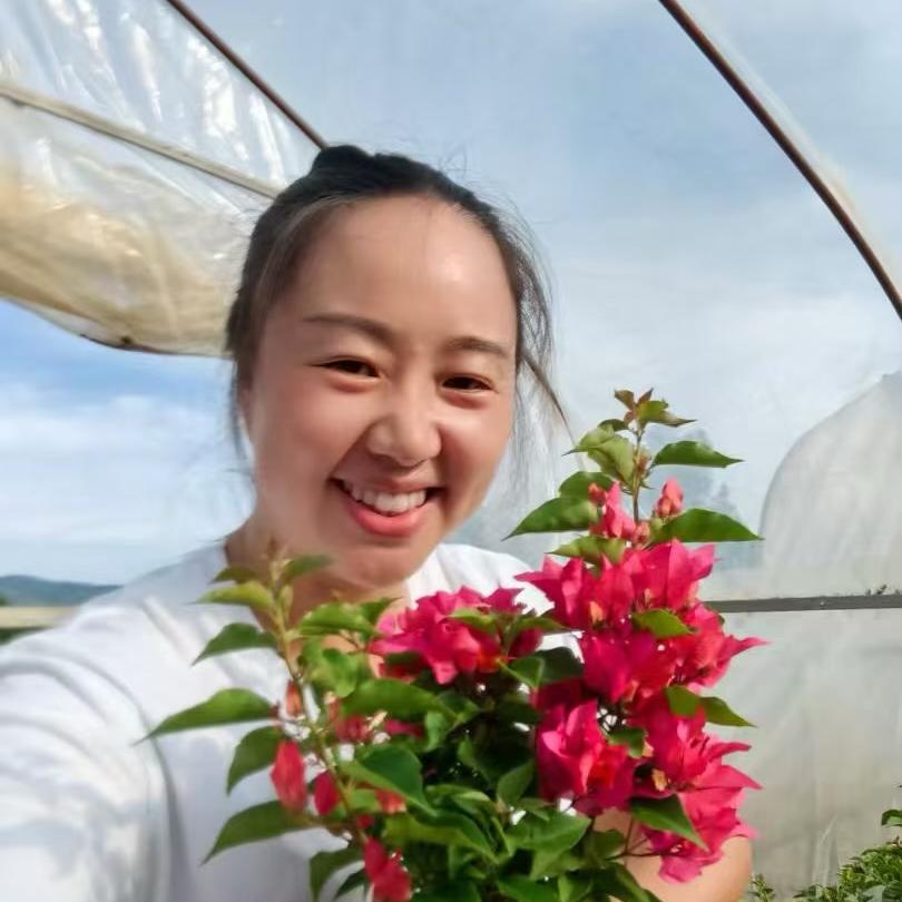 丽丽三角梅种植园