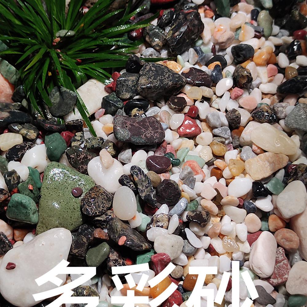 鱼遇玉水族