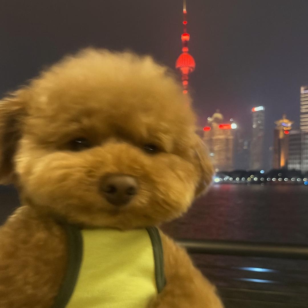 啦啦啦啦