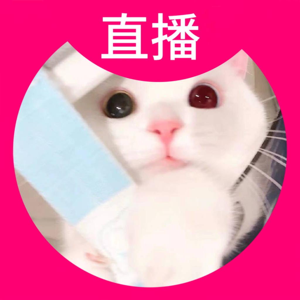卷猫