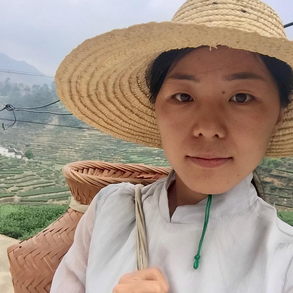 晓云家好茶