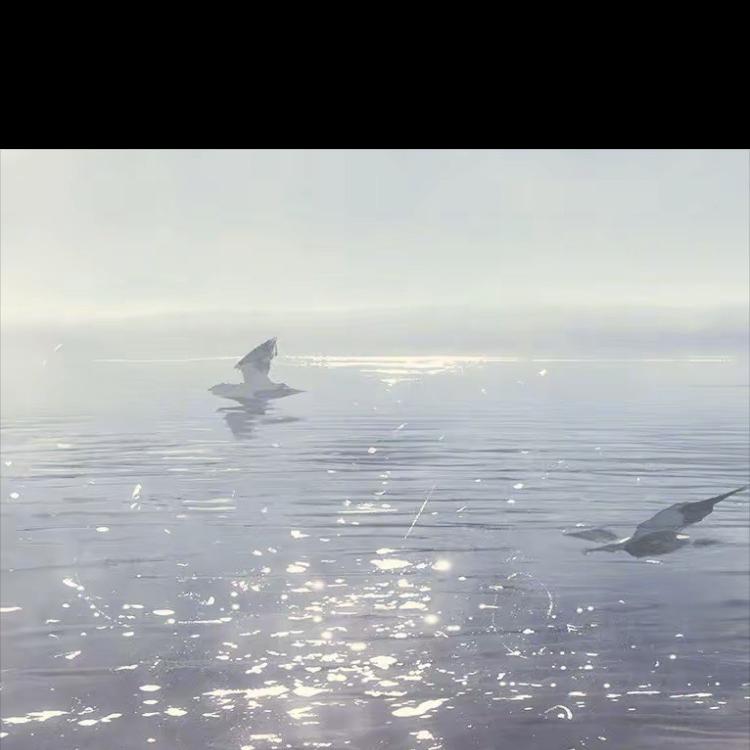 沃福精选