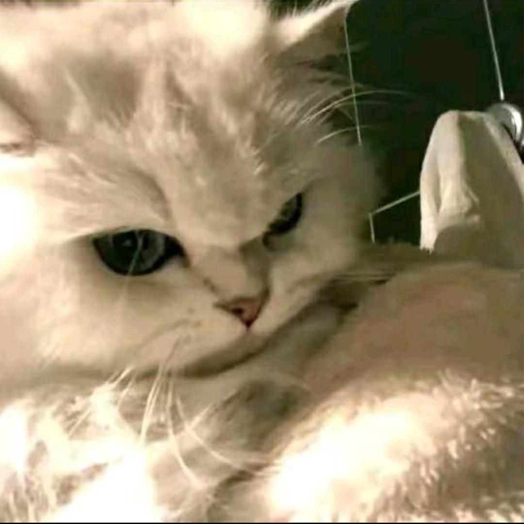 ￴ ￴￴￴ ￴￴   ￴ ￴ ￴￴￴