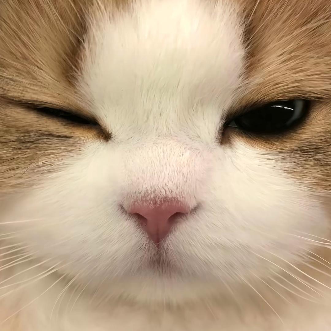 🌈孤独的根号三