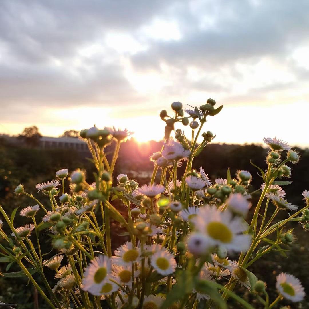 𝘿𝒆𝒔𝒑𝒆𝒓𝒂𝒅𝒐.