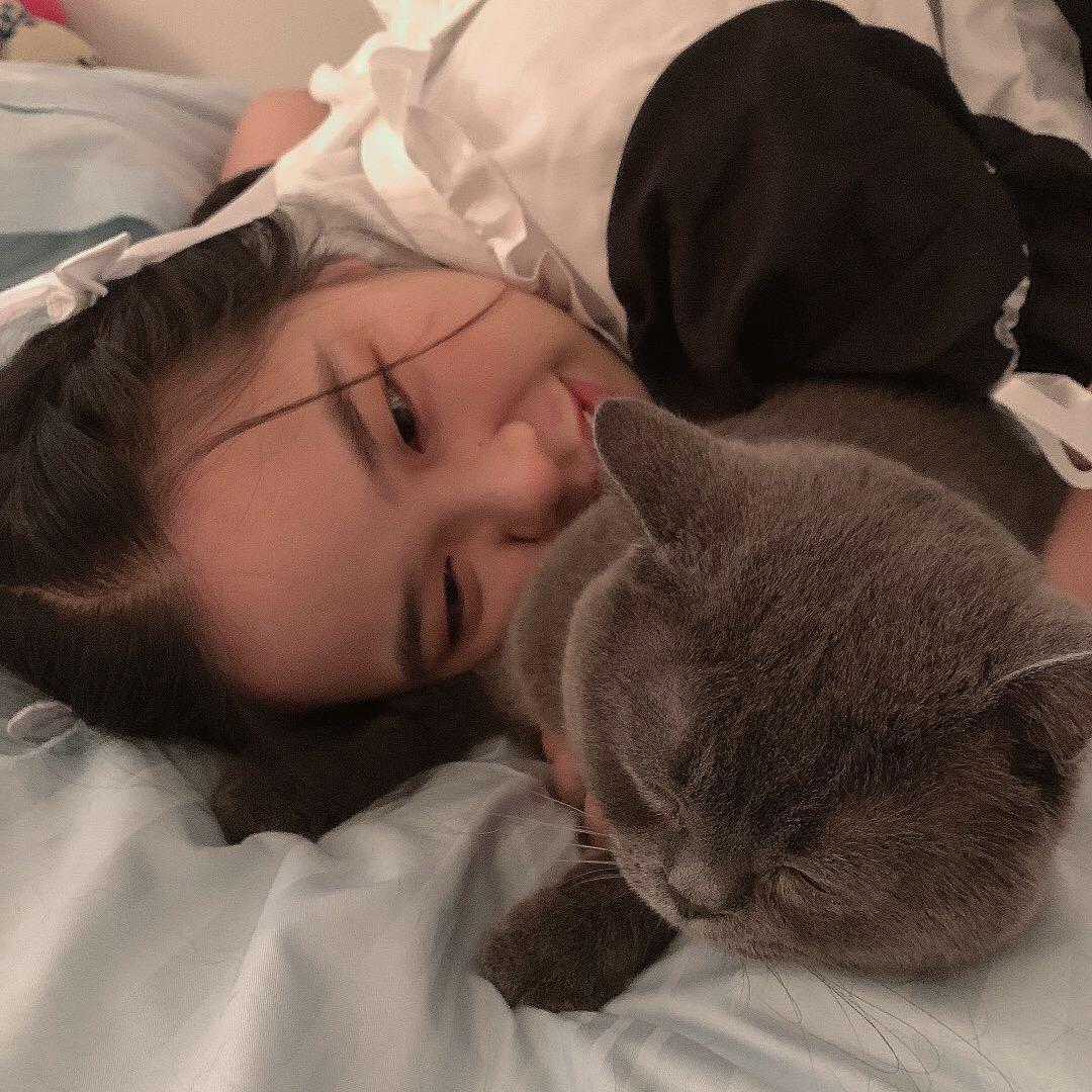 cat