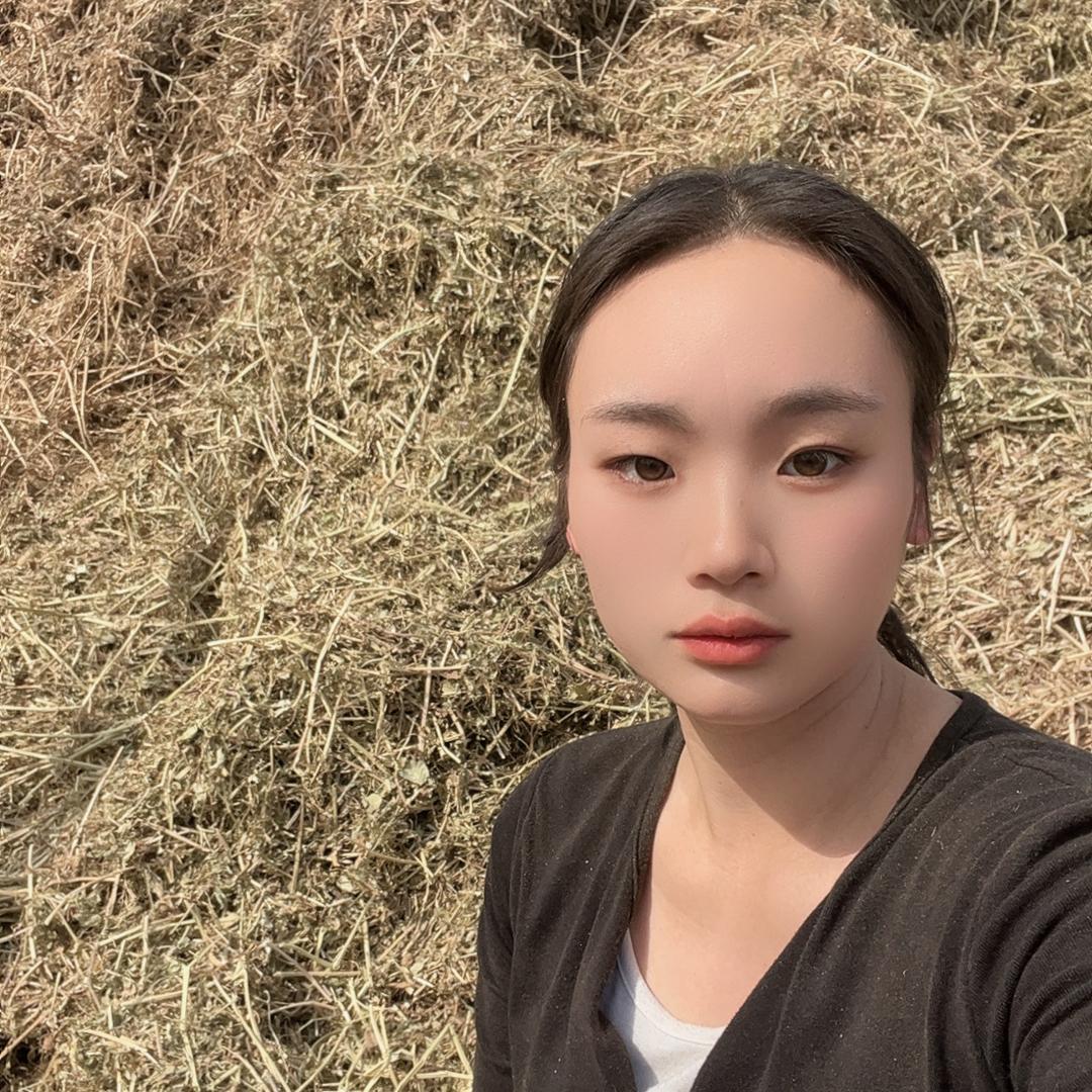 晨龙草业