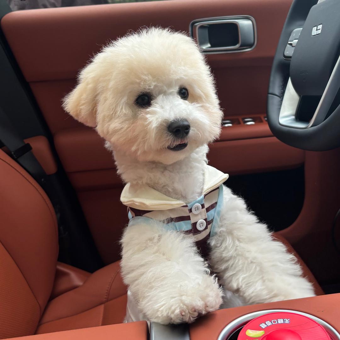 黑嫂pubg＋（pubglh999）