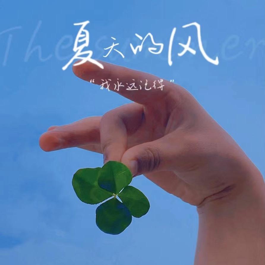 虫虫