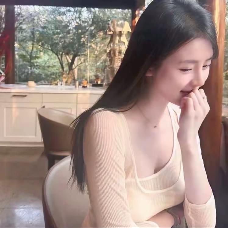 布偶猫儿
