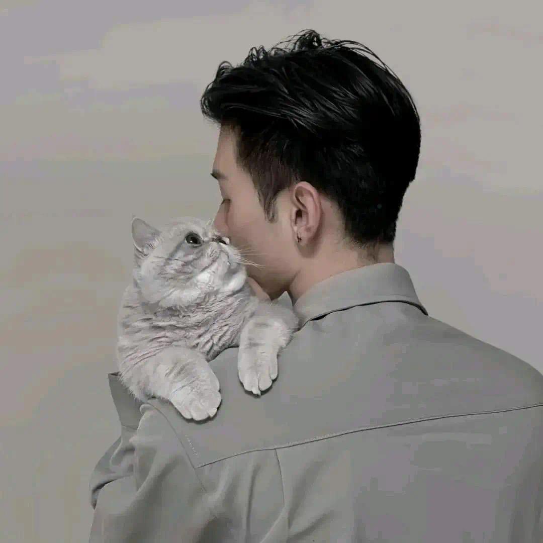 七̆̈安̆̈