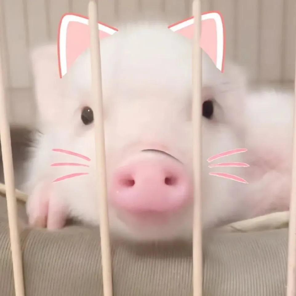 你的网上邻🐷