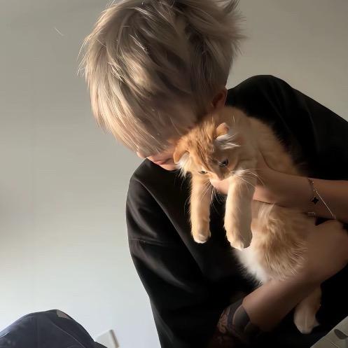 樊