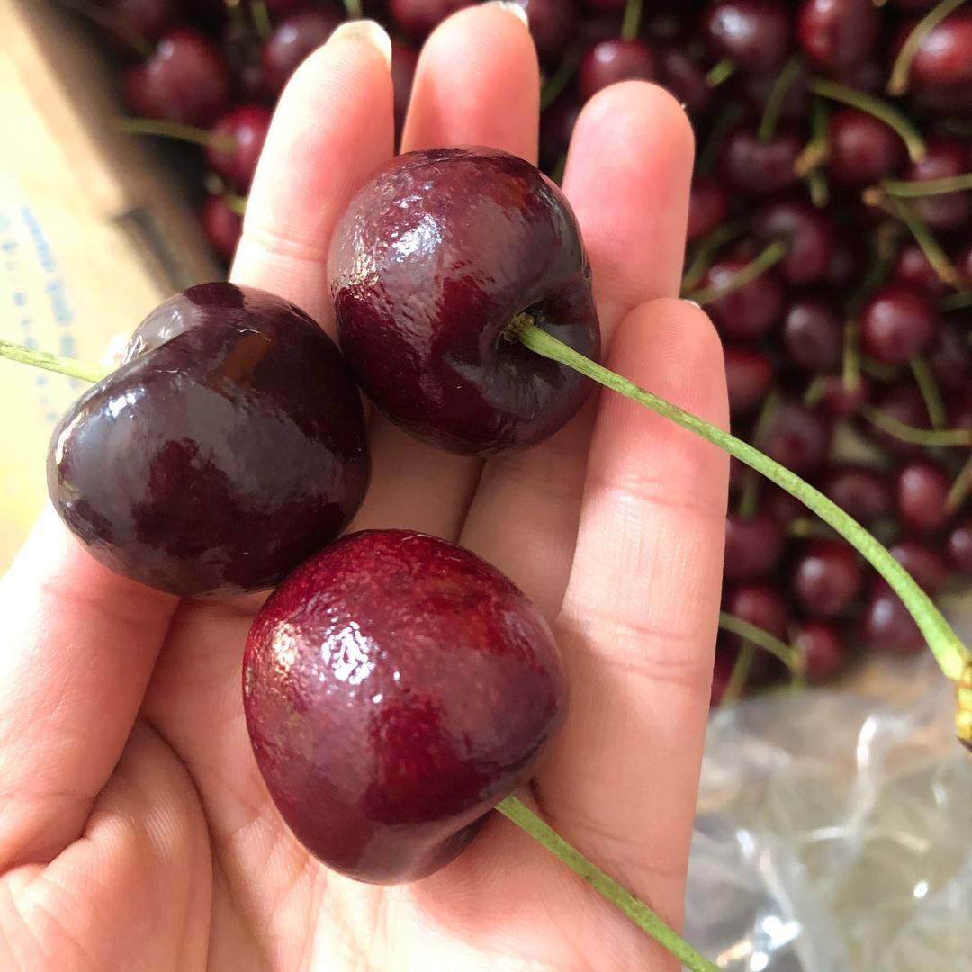 燕姐❤️好物推荐