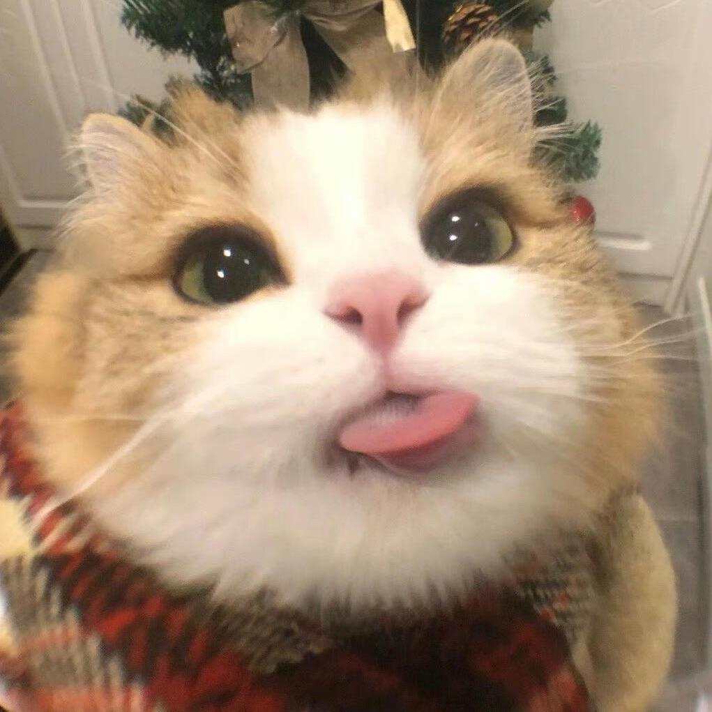 卡卡西