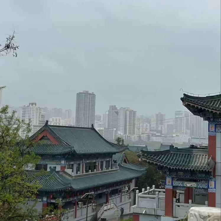 阳哥爱分享
