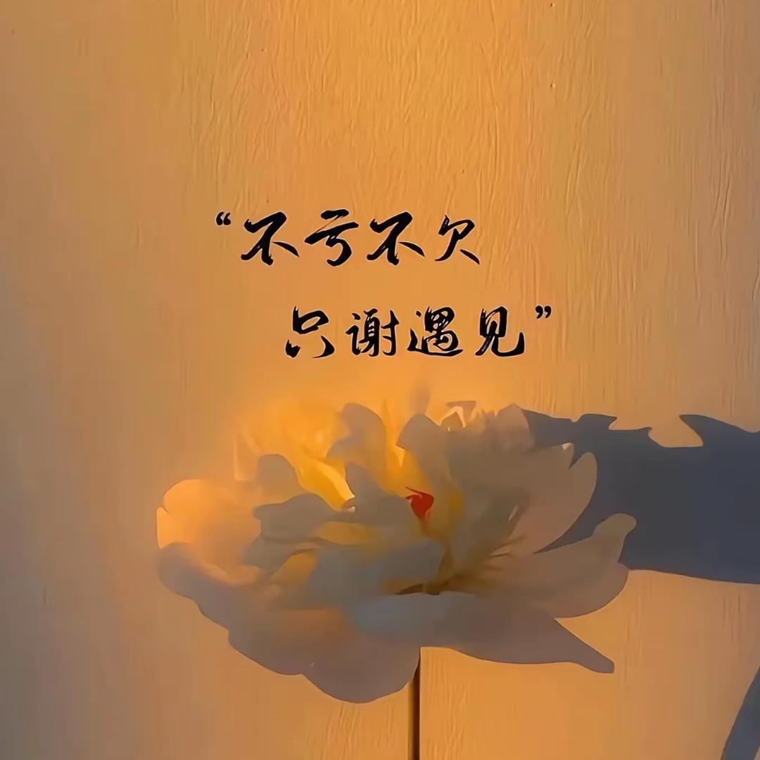 🦋何必太认真🥀