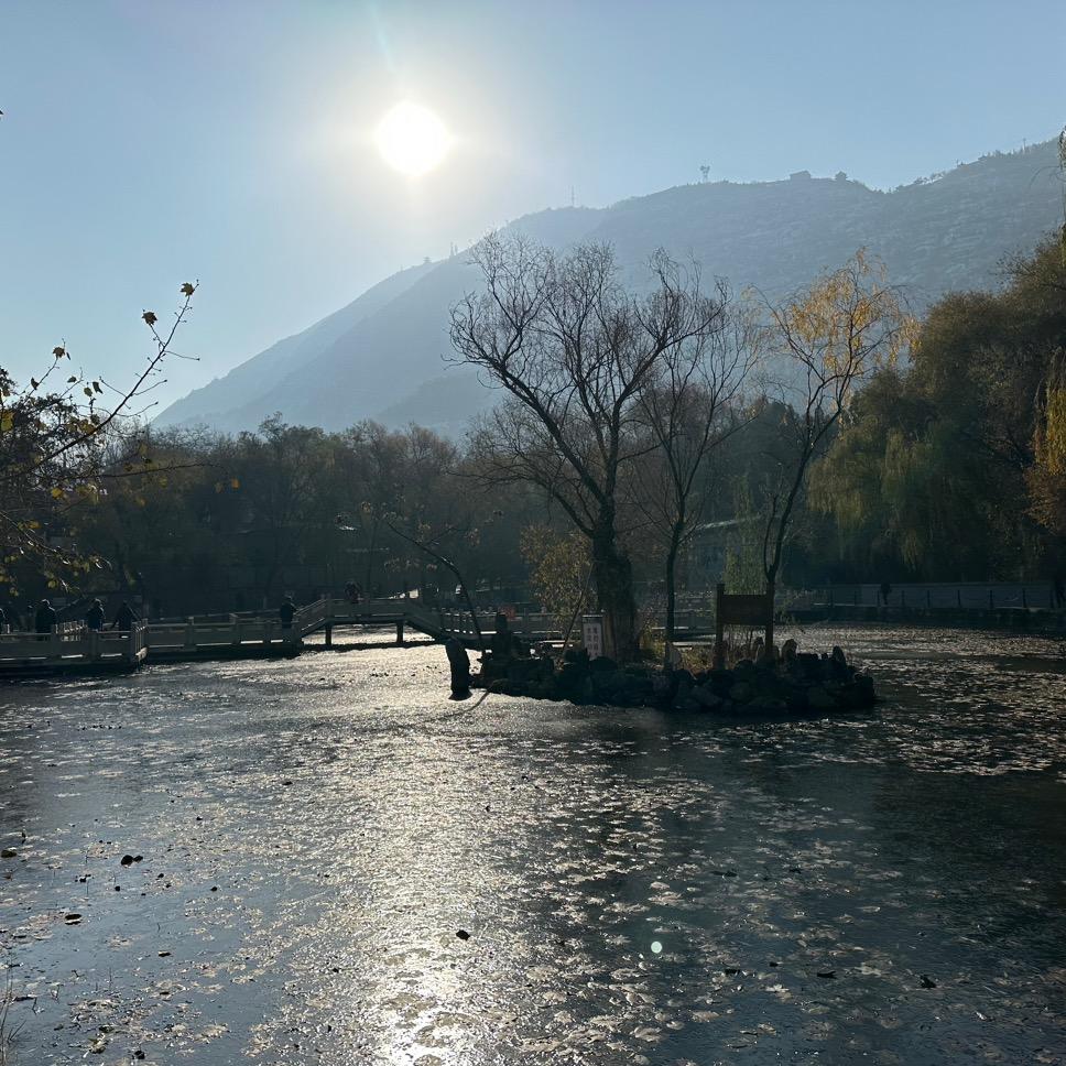 雪诺（不出东子不改名）