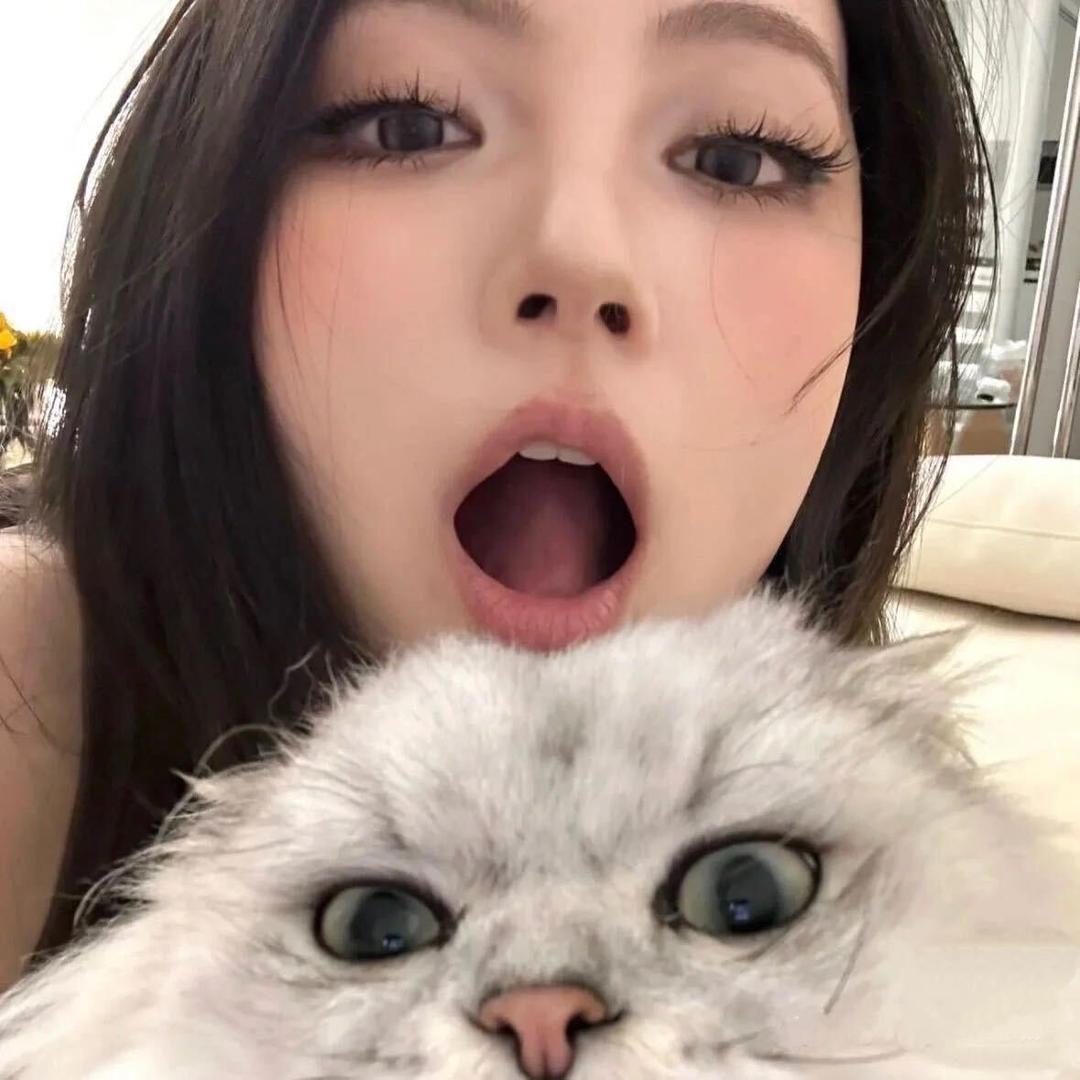 宋宋.