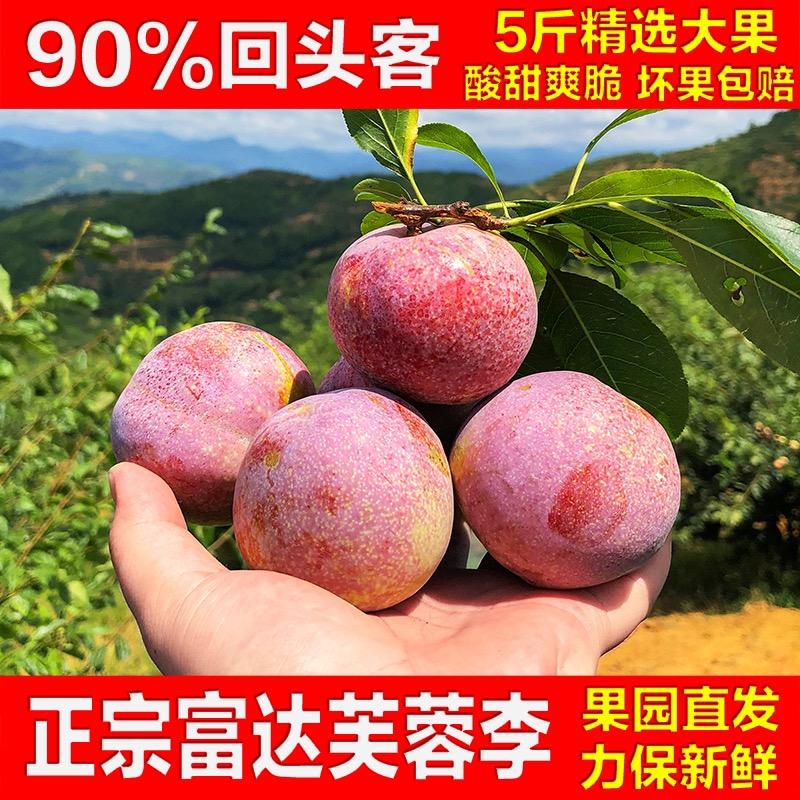百果鲜水果优选