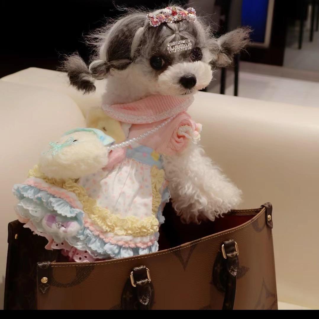 🧸yi