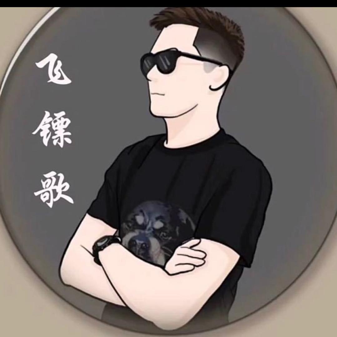 飞镖歌.