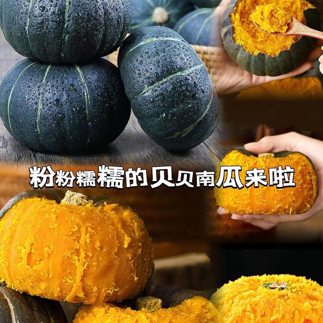CDDXS01