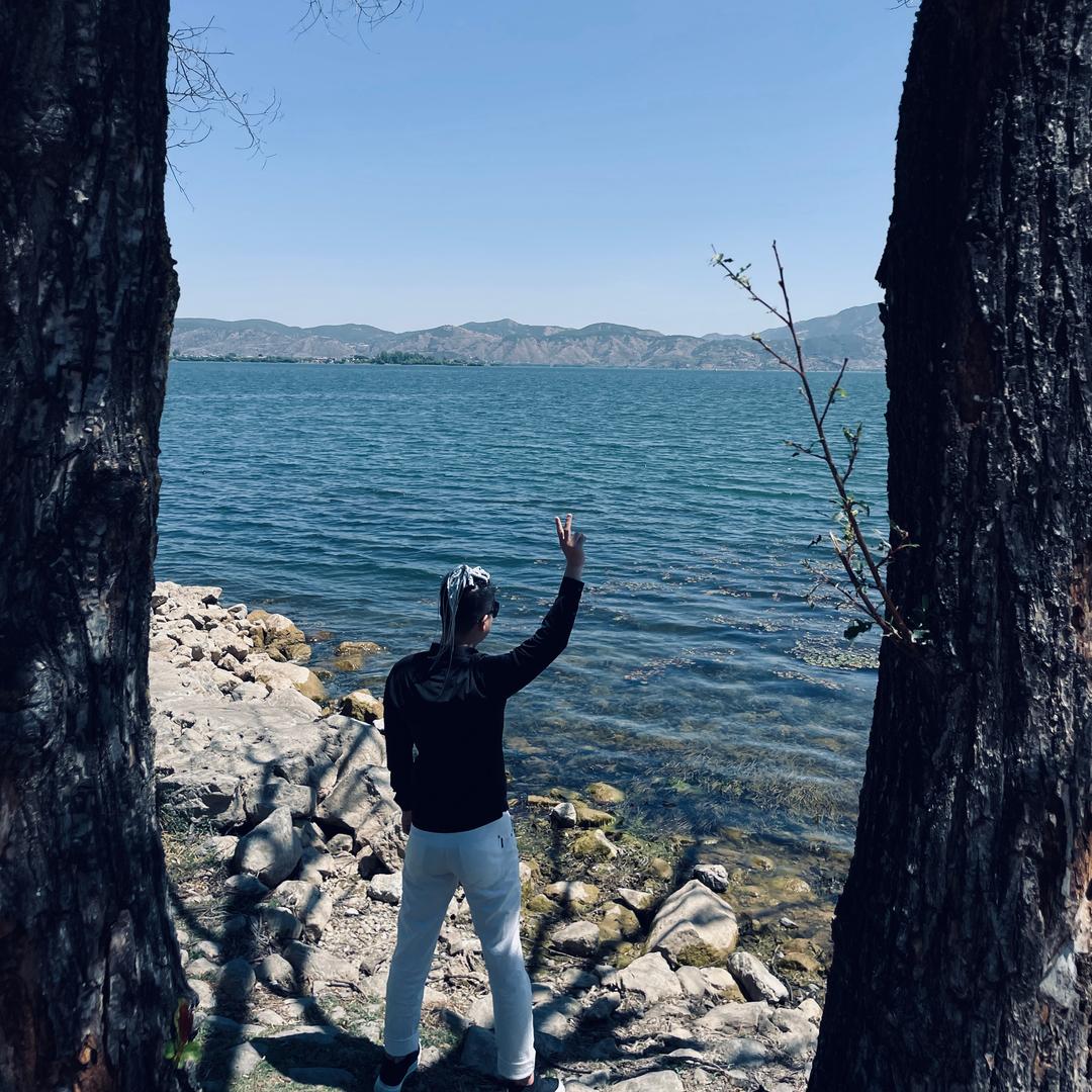 🕵️侠客·政法护卫队