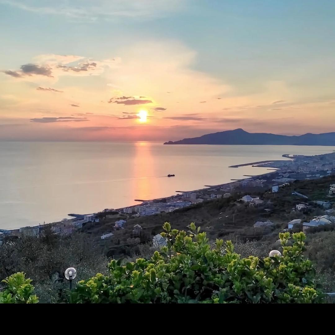 海中鱼大世界眼镜