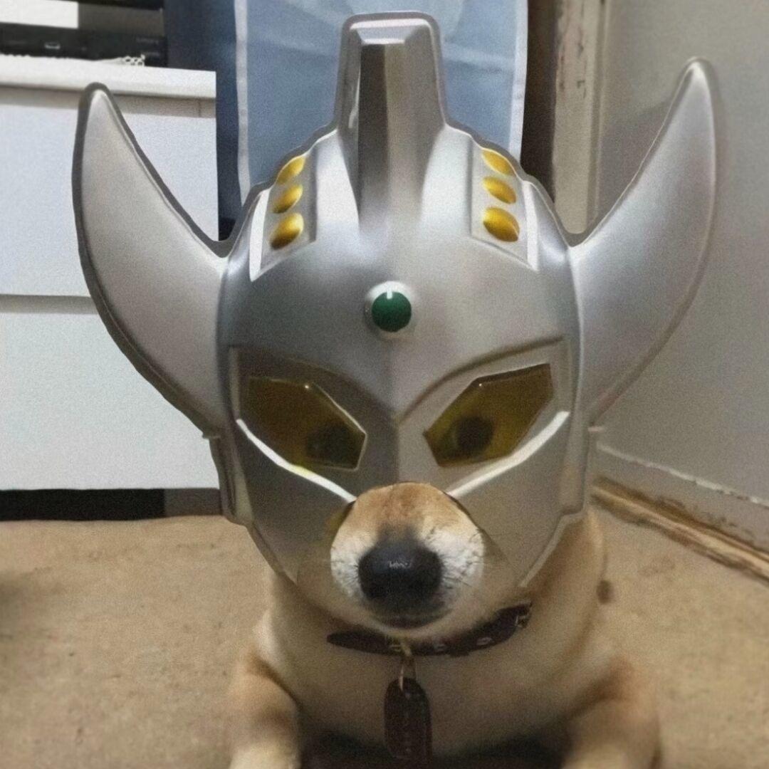 睡不醒༃