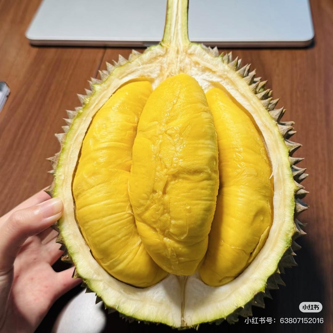 黑刺榴莲高端生鲜