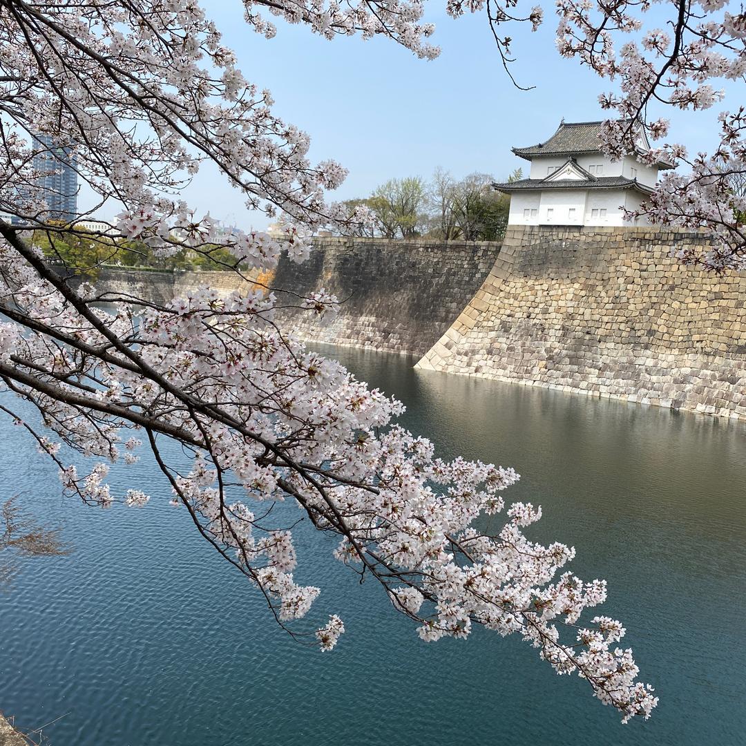kumagai